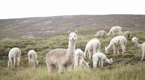 ダイエットより冷え対策！？8割超が「冷え」実感