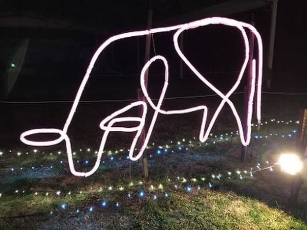 スタッフ手作りのライトアップ演出！成田ゆめ牧場「ファーマーズクリスマスナイト」を12月4日(土)から土日限定で開催