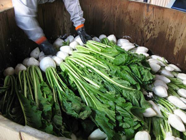 冬限定！京都三大漬物「すぐき漬け」を12月3日販売開始　コクのある酸味とかぶらの甘みが美味しい、京都伝統のお漬物