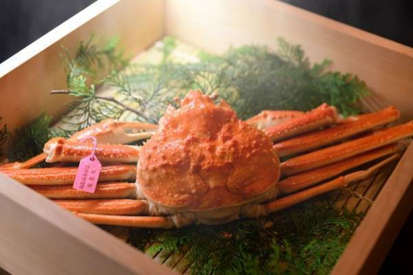 全6室だけの隠れ家の宿「ICHIJO」(いちじょ)　冬の味覚を楽しめる期間限定プラン「香住特上活松葉ガニプラン」をご紹介