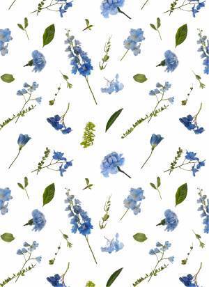 フラワーアート・ユニット「plantica」と白衣・スクラブを中心とした医療用品メーカー「クラシコ」の待望の新作コラボアイテムを発表。