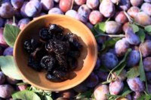 プルーンの摂取が、満腹感および体重管理に貢献　リバプール大学の研究が示唆