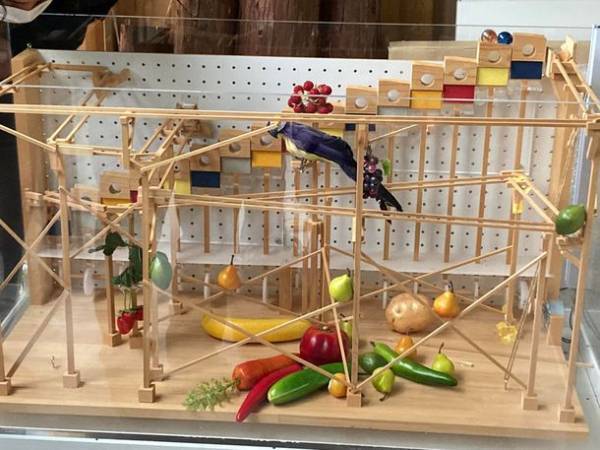 埼玉県飯能市にて実施中のデジタル地域通貨『Hello, againコイン』による実証実験、第一次報告を発表