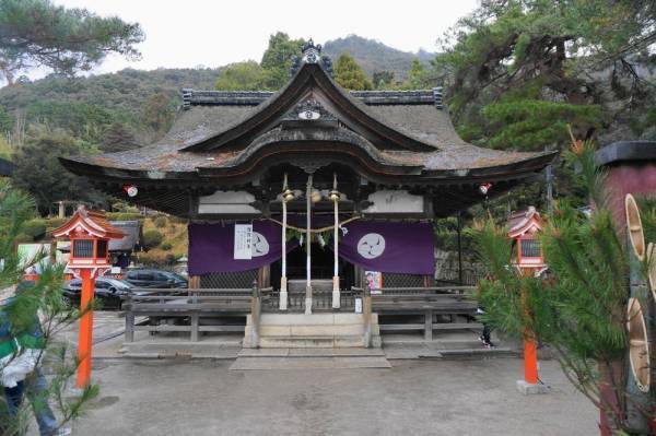 北びわ湖を船で一周しながら、パワースポット“竹生島”と“白鬚神社”へ参拝！「湖北一周初詣クルーズ」