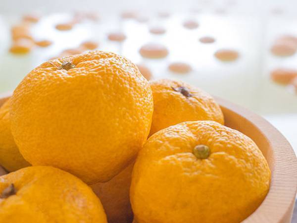 極楽湯、12/22の冬至にちなみ本物のゆずを浮かべる『ゆず湯』イベントを開催