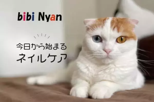 猫ちゃんが自分でできるネイルケア！！爪とぎだけで、爪が削れちゃう新しい爪とぎボード誕生！！