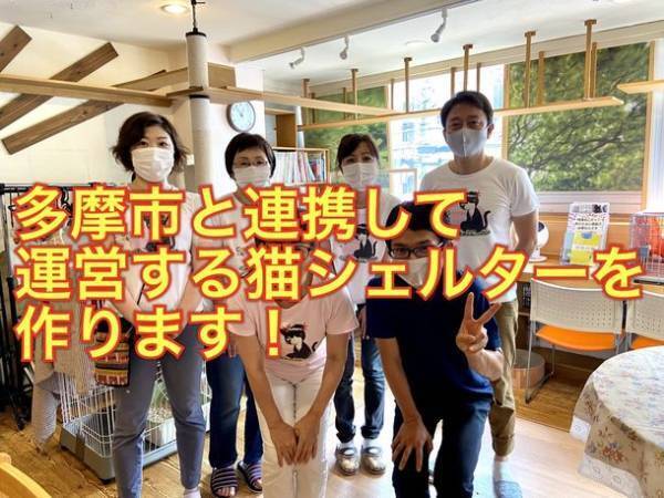 多摩市に飼い主のいない猫の専用シェルターを作りたい！CAMPFIREにて12月31日までクラウドファンディング実施中