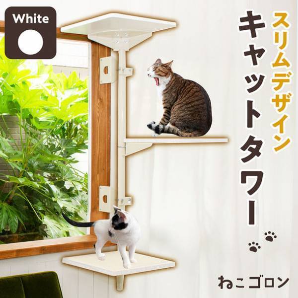 ＜業界初＞窓辺のスペースを活用した新しいキャットタワー「ねこゴロン」を新発売