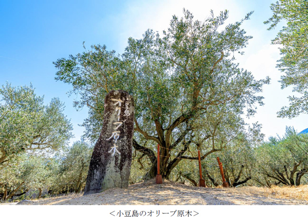 都道府県の位置が全部わかる人は28.4%！阪急交通社が調査結果を公開～人口や県庁所在地、都道府県の花まで、都道府県アンケート～