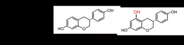 微生物による5-ヒドロキシエクオールの製造方法特許が登録　～腸内代謝物の機能性食品素材のラインアップ拡充に期待～