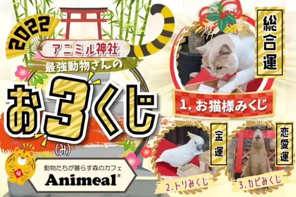 新春恒例 開運祈願イベント開催！～2022年のあなたの運勢をアニミルの動物さんが占います～