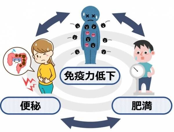 4人に3人が今年の年末年始は外出予定？まだまだ油断は禁物！冬の寒さが引き起こす「免疫力低下」「便秘」「肥満」の負のスパイラルに要注意！