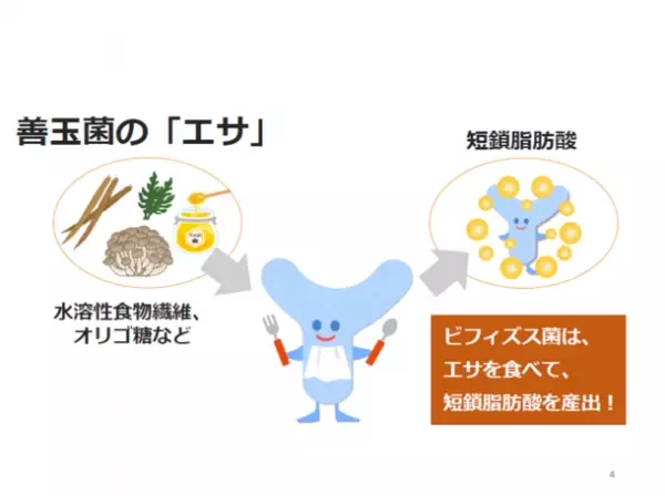 4人に3人が今年の年末年始は外出予定？まだまだ油断は禁物！冬の寒さが引き起こす「免疫力低下」「便秘」「肥満」の負のスパイラルに要注意！