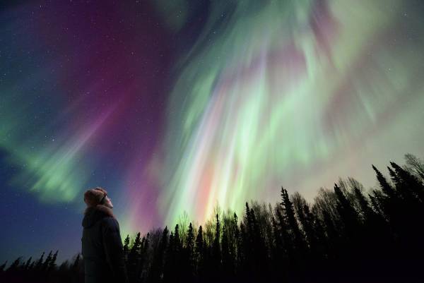プラネタリウム×ドラマの新感覚作品「流れ星を待つ夜に」2022年１月28日より都内３館で上映開始
