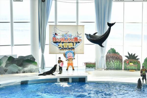 アクアワールド・大洗 開館20周年記念事業「ワンピース BIG WASH島の大冒険！ IN アクアワールド・大洗」開幕！12月11日(土)オープニングセレモニーに人気芸人 マヂカルラブリー＆大自然が来場！水族館も『ワンピース』も大好き！BIG WASH島は最高！