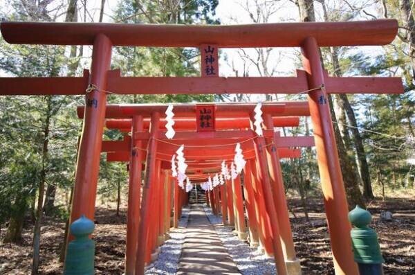 元日にパワースポットの北口本宮冨士浅間神社と金運日本一の新屋山神社にジャンボハイヤーで「初詣・初日の出・初売り」のプラン予約開始