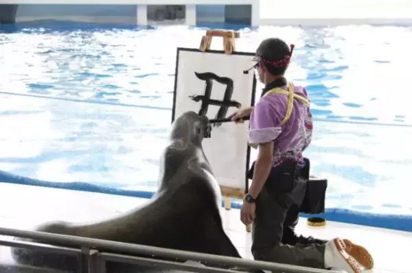 海の生き物たちと楽しめるイベントが盛りだくさん　「年末年始はアクアワールド・大洗で楽しもう」2021年12月28日(火)～2022年1月31日(月)に開催