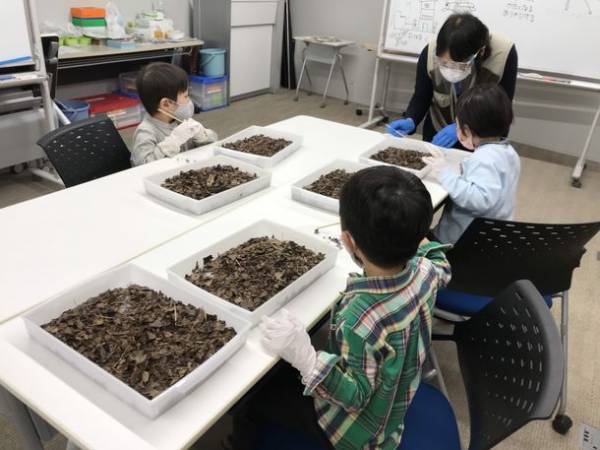 「早稲田こどもフィールドサイエンス教室」が無料体験教室・説明会を1月16日(日)より開催