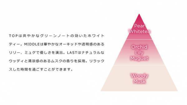 “未だかつてない濃度・泡立ち・彩度”で、ヘアカラーユーザーの期待(褪色防止と色持ちアップ)に応える、［ILOA(イロア)カラーシャンプー］が12月発売！