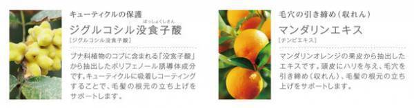 未来の美しい髪を育む薬用育毛美容液の新製品「コタエイジング グロウセラム」が2022年5月20日発売！