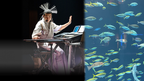 日本人初5次元キーボード・パフォーマー薮井佑介による四国水族館ナイトコンサートを大晦日の12月31日に開催
