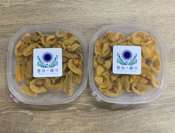 食べることで環境保全！？大分発の陸上畜養ウニ「豊後の磯守(R)」に無添加塩水パックが登場