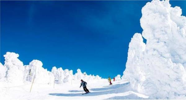 蔵王索道協会×WAmazing　スノーリゾートDX推進事業がスタート　「蔵王温泉スキー場」のリフト券 オンライン販売を開始　事前購入・自動発券・直接入場＆混雑状況の可視化