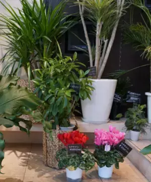 愛商連・名商連特別企画ワクチン接種応援キャンペーン開催