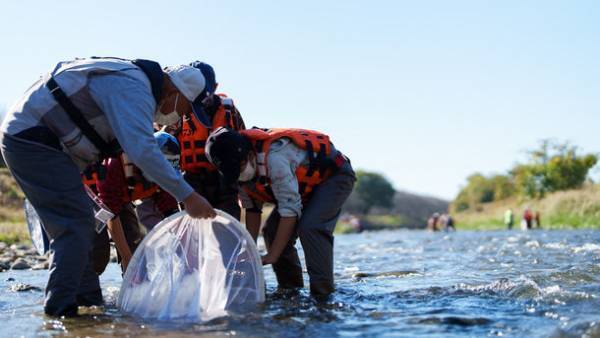 ～未来をささえる子どもたちへ～身近な河川で学ぶ楽しい自然環境学習