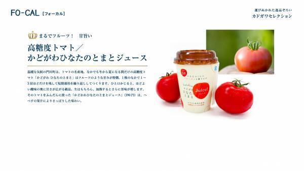 トリンドル玲奈さんが無人島で釣りに挑戦！「旅色FO-CAL」宮崎県門川町特集公開