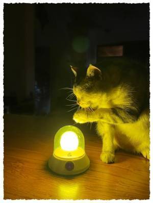 光のテクノロジーを駆使した『UFO蚊よけランプ』をプロジェクトサイトMakuakeにて2022/1/22より先行予約販売を開始！