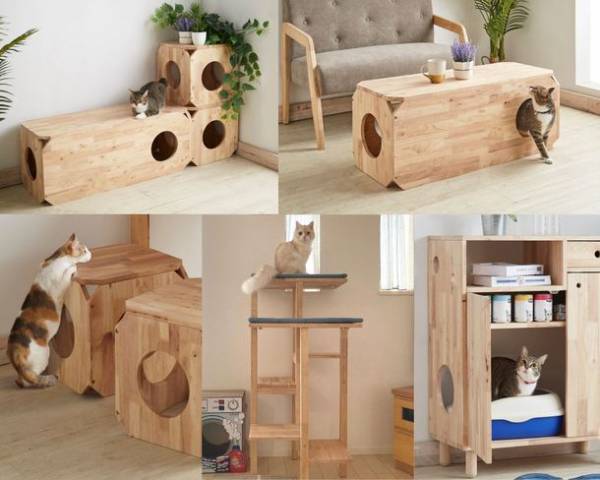 猫×ナチュラル家具の「CAT-HUS」、『寅』の猫用被り物を先着30名様にプレゼントするキャンペーンを12月22日に開始！