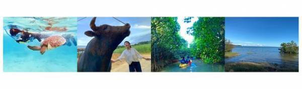 世界自然遺産「奄美・沖縄」4地域登録記念　アイランドホッピングオンラインツアーの参加者を募集