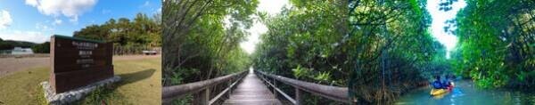 世界自然遺産「奄美・沖縄」4地域登録記念　アイランドホッピングオンラインツアーの参加者を募集
