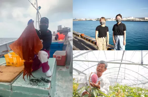 沖縄・糸満市初の地域特化型通販サイト「ITOSTO」をリリース　地域生産者から糸満のイイモノをダイレクトにお届け！