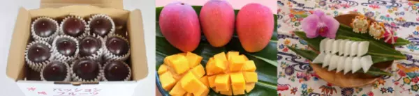 沖縄・糸満市初の地域特化型通販サイト「ITOSTO」をリリース　地域生産者から糸満のイイモノをダイレクトにお届け！