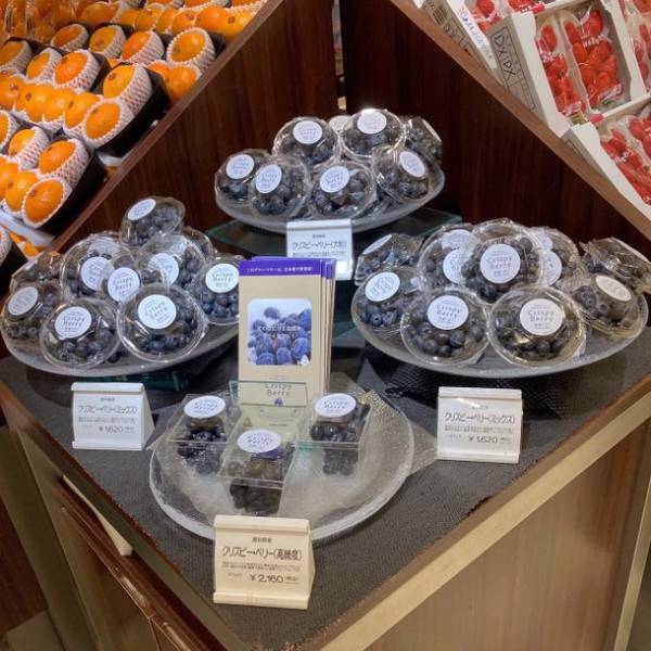 日本発で世界初！東京農工大学が冬季ブルーベリーの栽培に成功　500円玉超クラスの“クリスピーベリー”を伊勢丹新宿店にて12月から販売開始