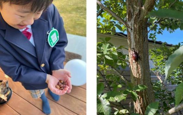 「5本の樹」のある庭で「ネイチャー・ポジティブ」な暮らしを　～様々な事業を紹介する「積水ハウス ストーリー」の最新情報を公開～