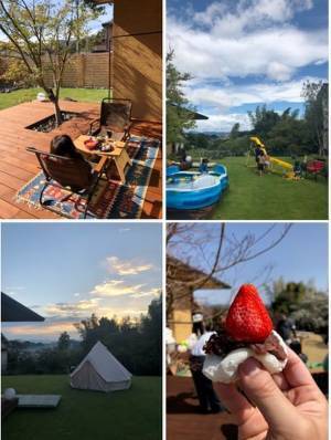 「5本の樹」のある庭で「ネイチャー・ポジティブ」な暮らしを　～様々な事業を紹介する「積水ハウス ストーリー」の最新情報を公開～