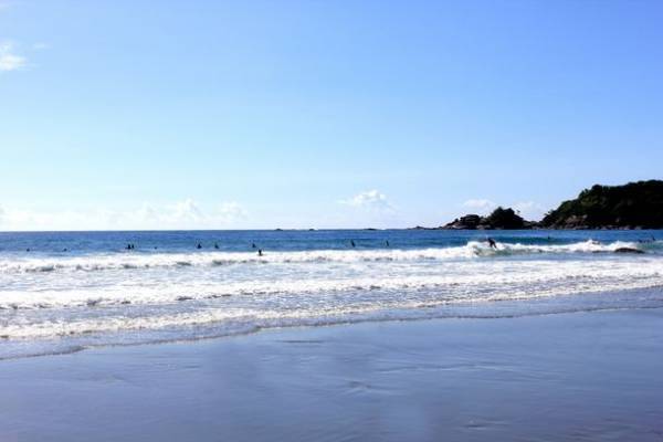 線路と道路両用の“交通手段”　世界初！DMV(デュアル・モード・ビークル)営業運行開始！高知県東洋町『甲浦駅』で列車からバスに変身？！旬を迎えた特産ぽんかんでおもてなし