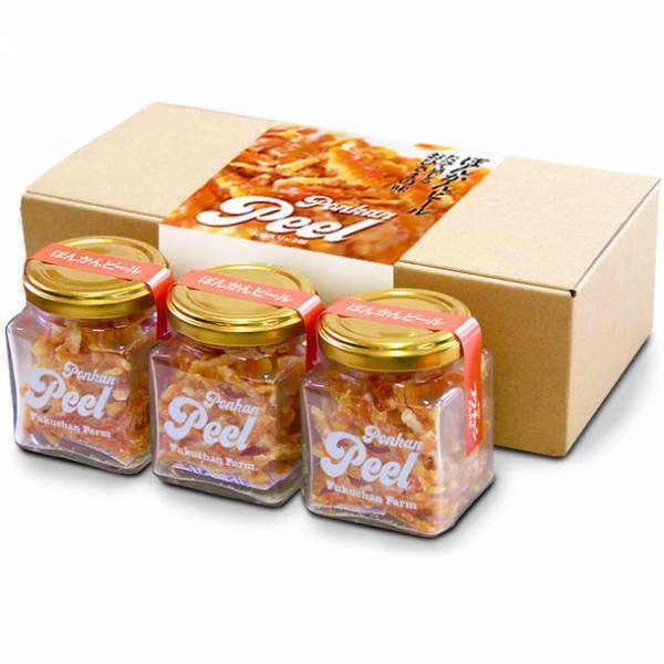 線路と道路両用の“交通手段”　世界初！DMV(デュアル・モード・ビークル)営業運行開始！高知県東洋町『甲浦駅』で列車からバスに変身？！旬を迎えた特産ぽんかんでおもてなし