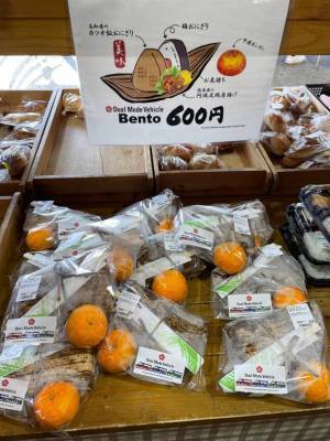 線路と道路両用の“交通手段”　世界初！DMV(デュアル・モード・ビークル)営業運行開始！高知県東洋町『甲浦駅』で列車からバスに変身？！旬を迎えた特産ぽんかんでおもてなし