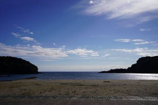 線路と道路両用の“交通手段”　世界初！DMV(デュアル・モード・ビークル)営業運行開始！高知県東洋町『甲浦駅』で列車からバスに変身？！旬を迎えた特産ぽんかんでおもてなし