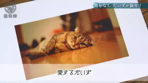 亡くなった愛猫が真珠になって戻ってくる！『ヨミガエル』(ショートムービー)公開　～俳優 酒井敏也さんが体験した【真珠葬】～