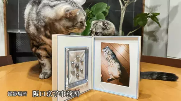亡くなった愛猫が真珠になって戻ってくる！『ヨミガエル』(ショートムービー)公開　～俳優 酒井敏也さんが体験した【真珠葬】～