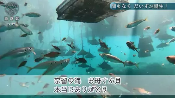 亡くなった愛猫が真珠になって戻ってくる！『ヨミガエル』(ショートムービー)公開　～俳優 酒井敏也さんが体験した【真珠葬】～