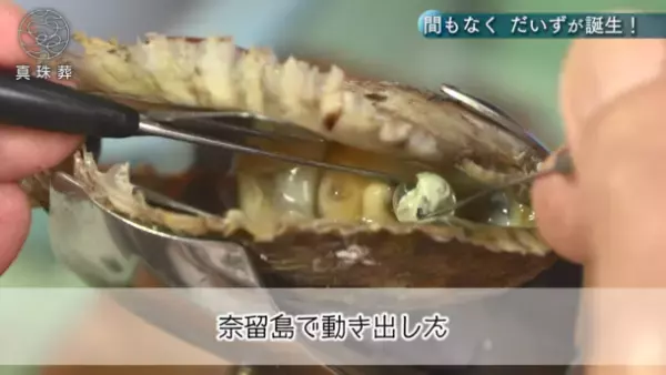 亡くなった愛猫が真珠になって戻ってくる！『ヨミガエル』(ショートムービー)公開　～俳優 酒井敏也さんが体験した【真珠葬】～