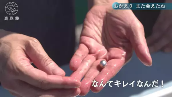 亡くなった愛猫が真珠になって戻ってくる！『ヨミガエル』(ショートムービー)公開　～俳優 酒井敏也さんが体験した【真珠葬】～