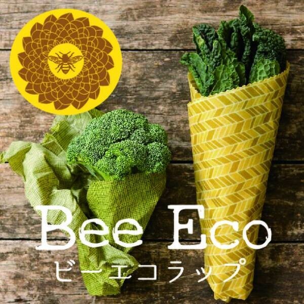 繰り返し洗って使える、地球に優しいオーガニック・フードラップ“Bee Eco Wrap”から新作「re: food wrap(リ・フードラップ)」を2月1日に発売！