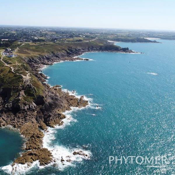 プロフェッショナル・マリンコスメティクス＆スパブランド「PHYTOMER(フィトメール)」が新たなトリートメントを発売　『シフォリア　オーガニック　フェイシャル　トリートメント』